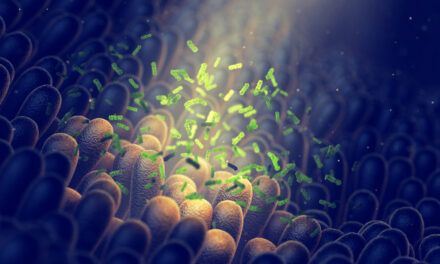 How Do Viruses, Bacteria, and Toxins Kill You?