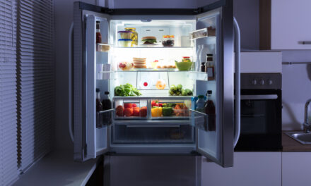 How Does Refrigeration Keep Your Food Safe?